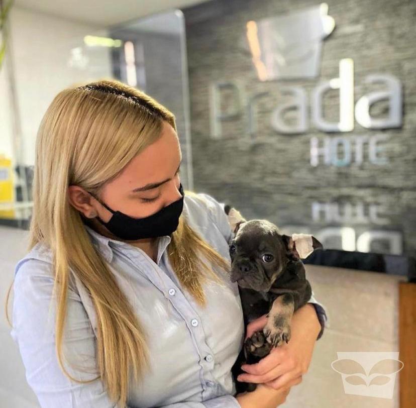 Hotel Prada Sas Bello Luaran gambar